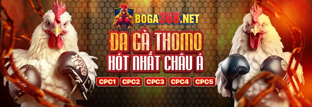 Giao diện đặt cược đá gà trực tiếp